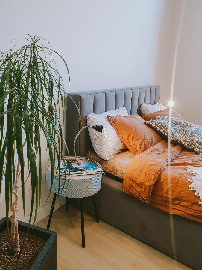 Priestranny Apartman V Centre 科希策 外观 照片