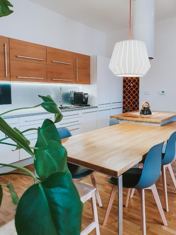 Priestranny Apartman V Centre 科希策 外观 照片